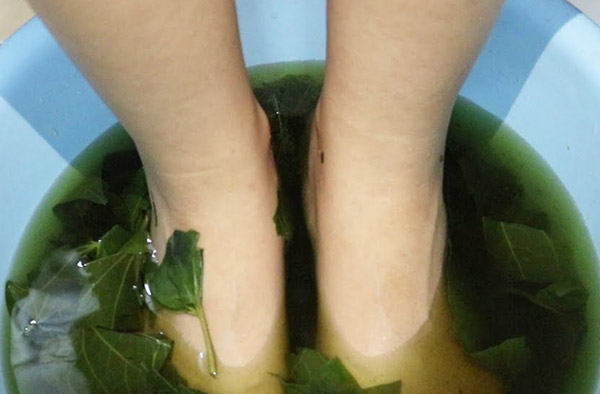 Ngâm chân bằng lá lốt giúp trị bệnh tiểu đường